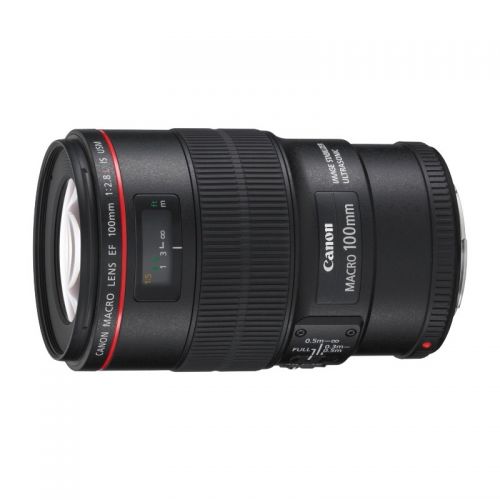 佳能（Canon） EF 100mm f/2.8L IS USM百微微距全画幅单反相机口腔牙科镜头 标配 官方标配